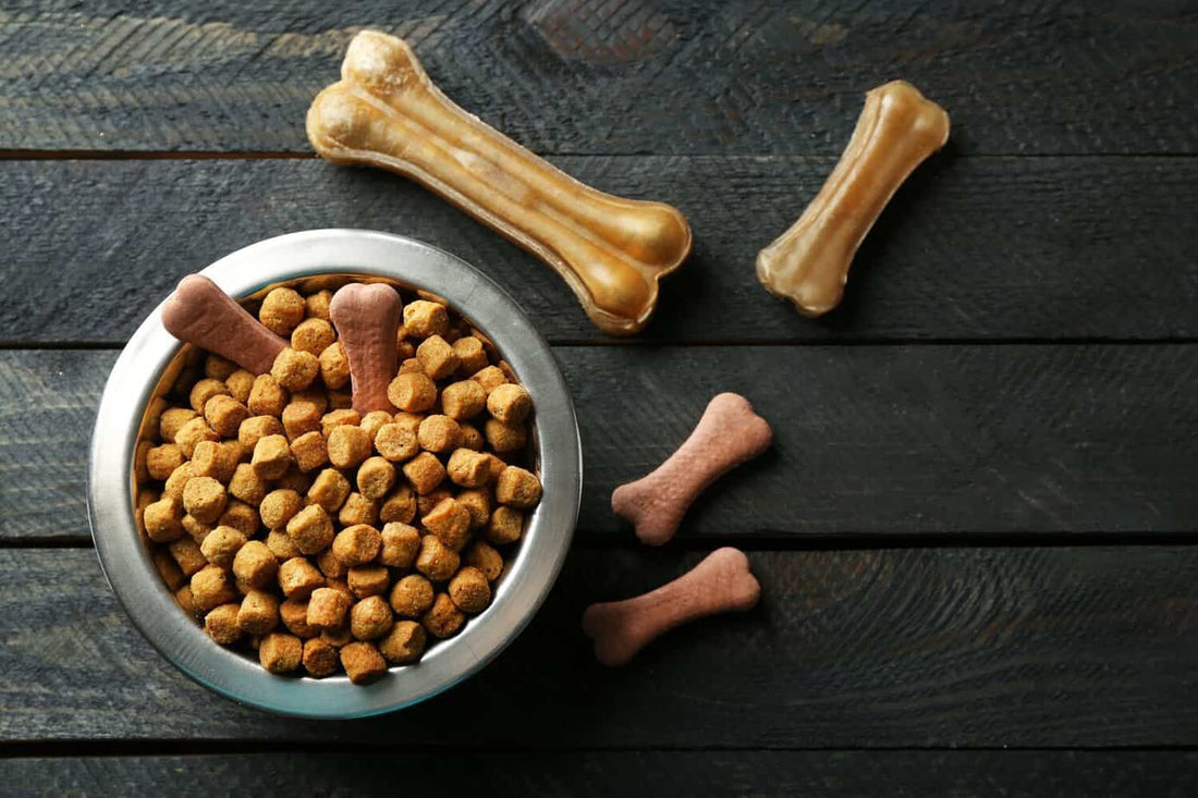Introduce your pups to slow feeder bowls!