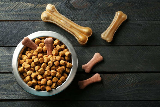 Introduce your pups to slow feeder bowls!