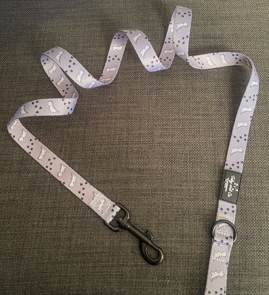 Dinosaur Adventure Leash