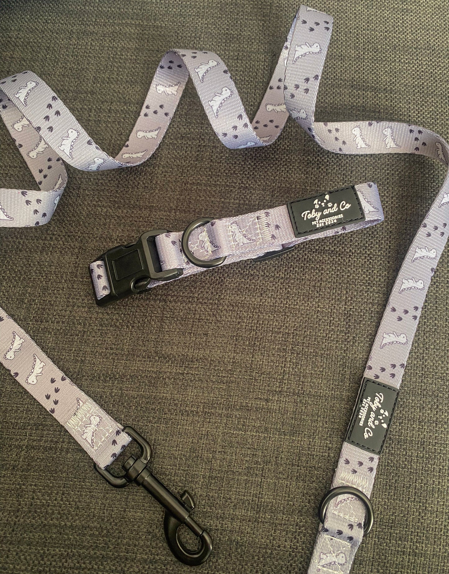 Dinosaur Adventure Collar