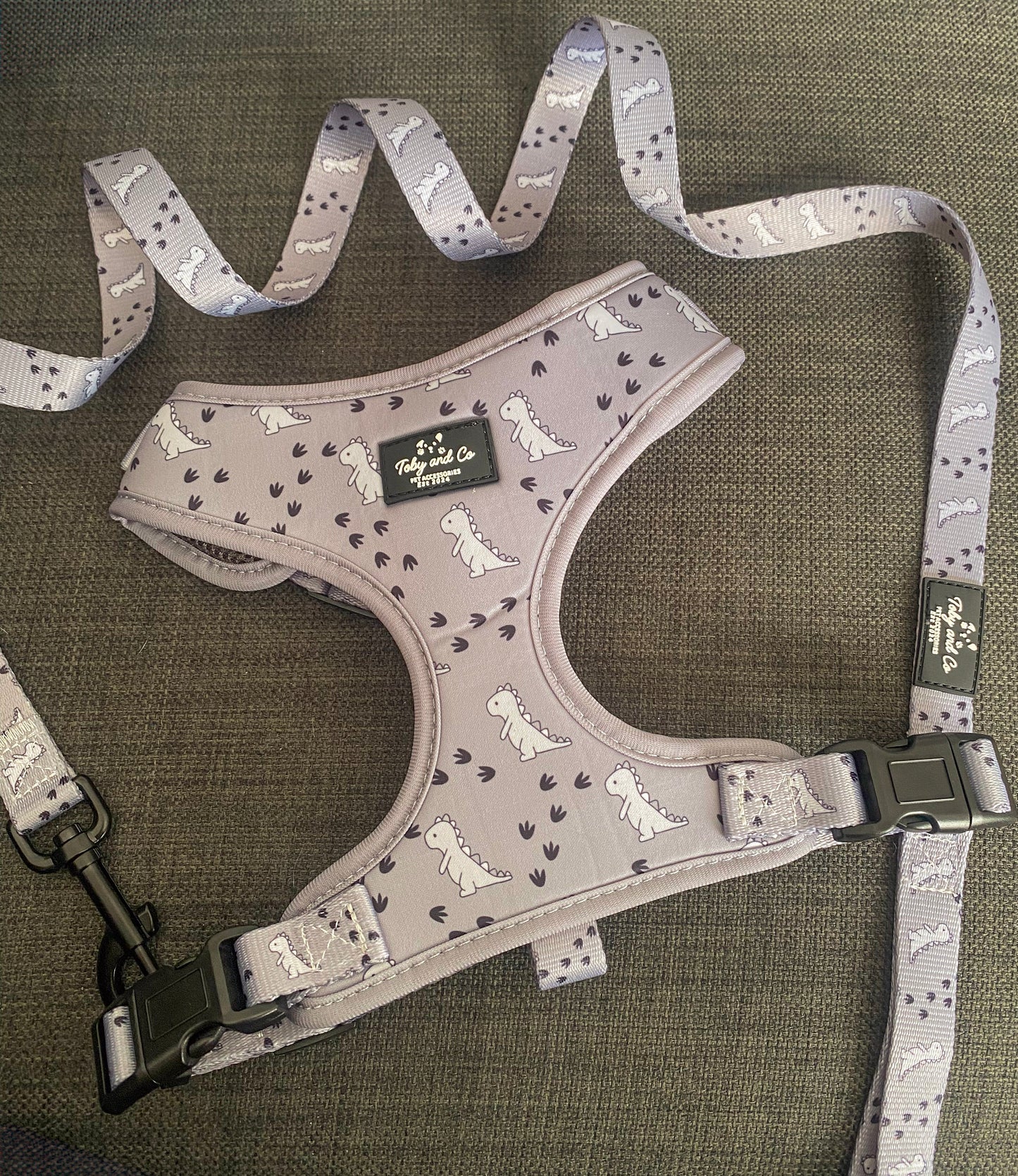 Dinosaur Adventure Harness