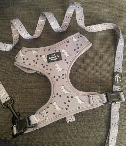 Dinosaur Adventure Harness