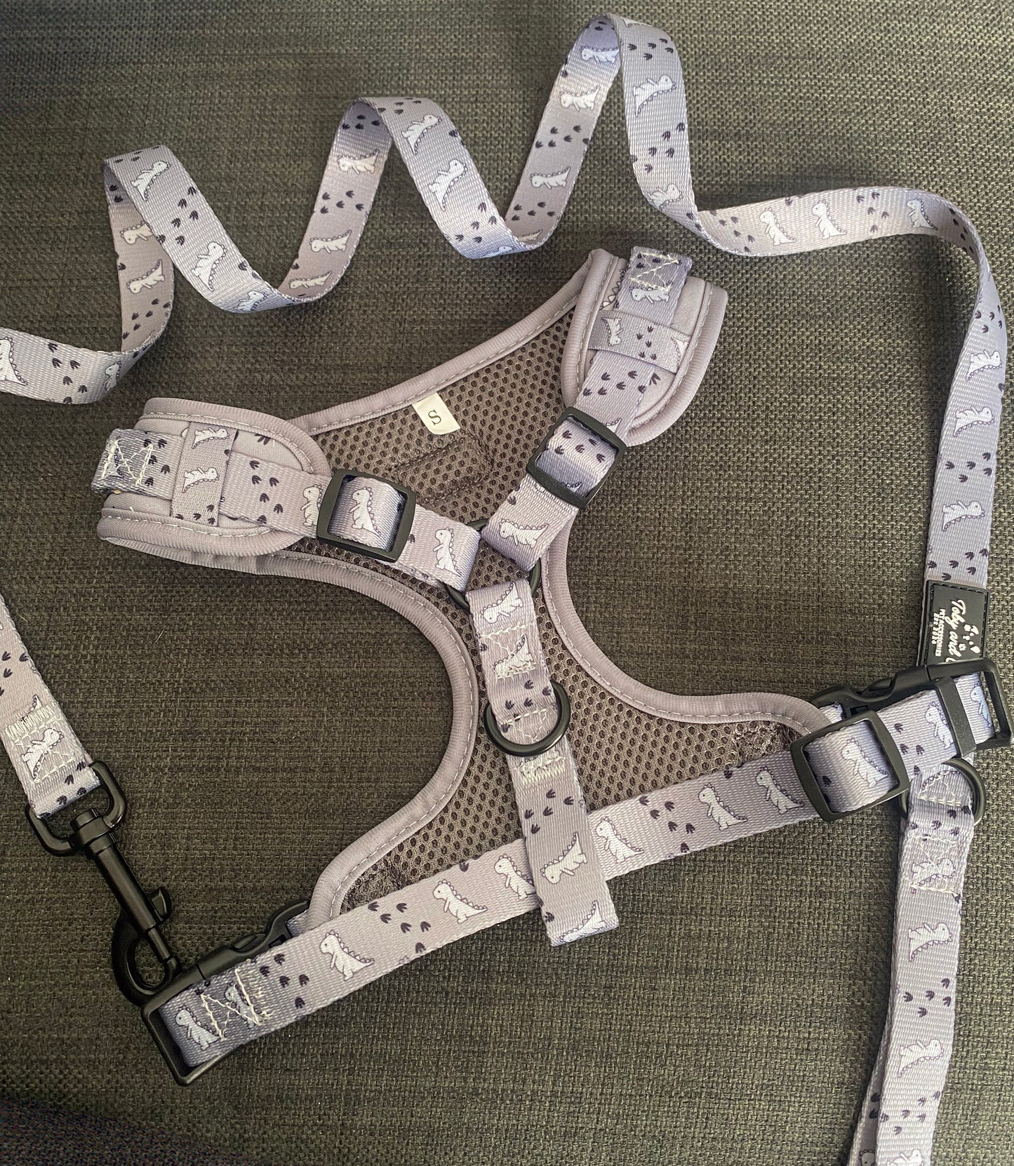 Dinosaur Adventure Harness
