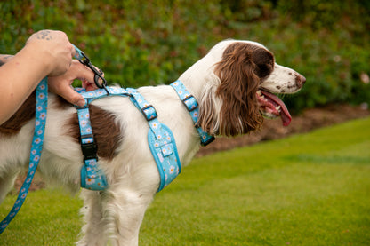 Daisy Field Harness