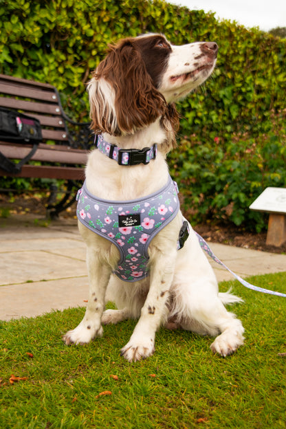 Cherry Blossom Harness