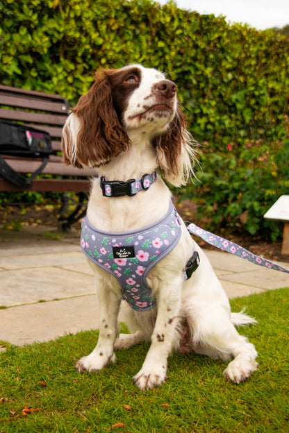 Cherry Blossom Harness