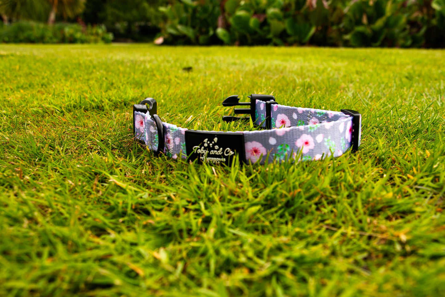 Cherry Blossom Collar