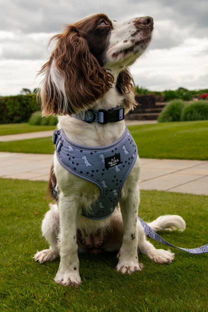 Dinosaur Adventure Harness