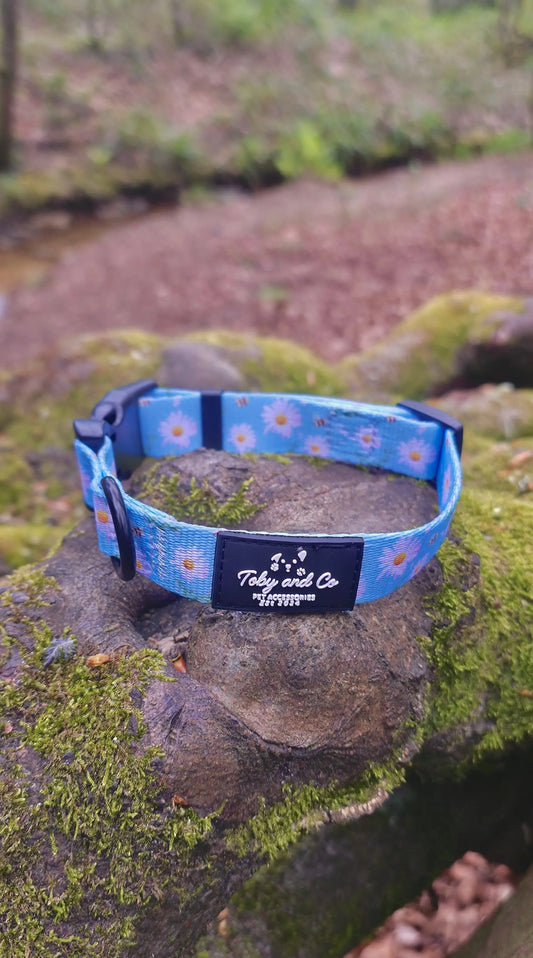 Daisy Field Collar