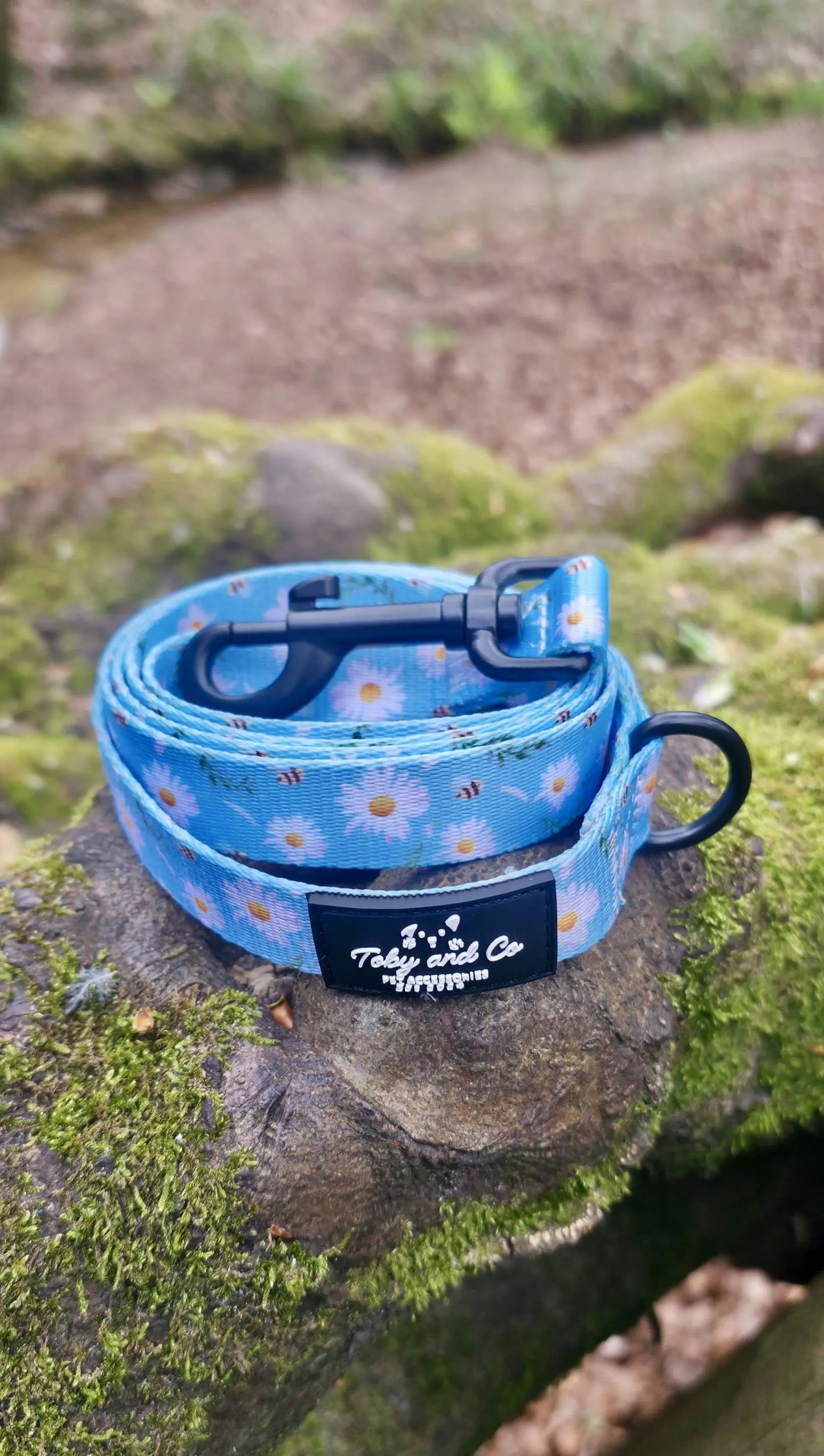 Daisy Field Leash