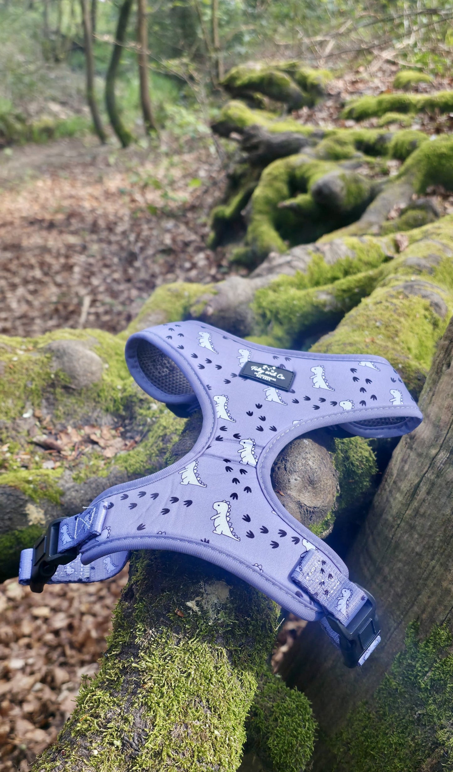 Dinosaur Adventure Harness