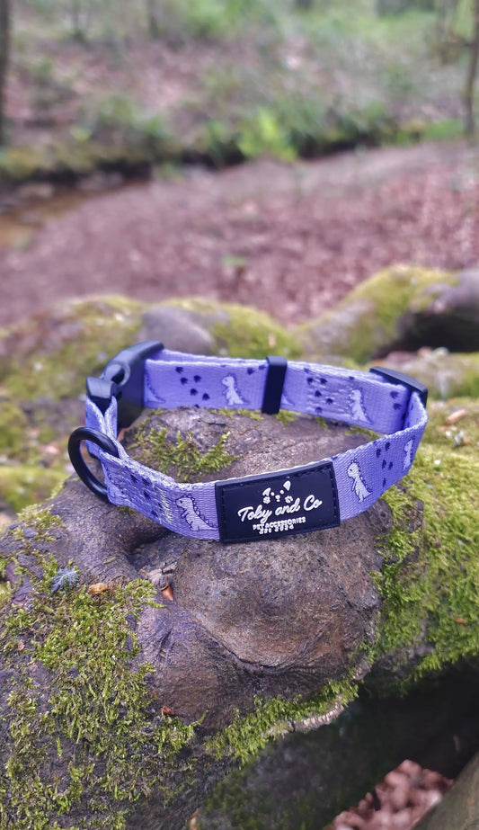 Dinosaur Adventure Collar