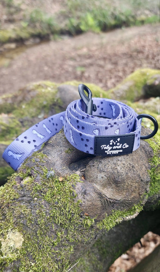 Dinosaur Adventure Leash