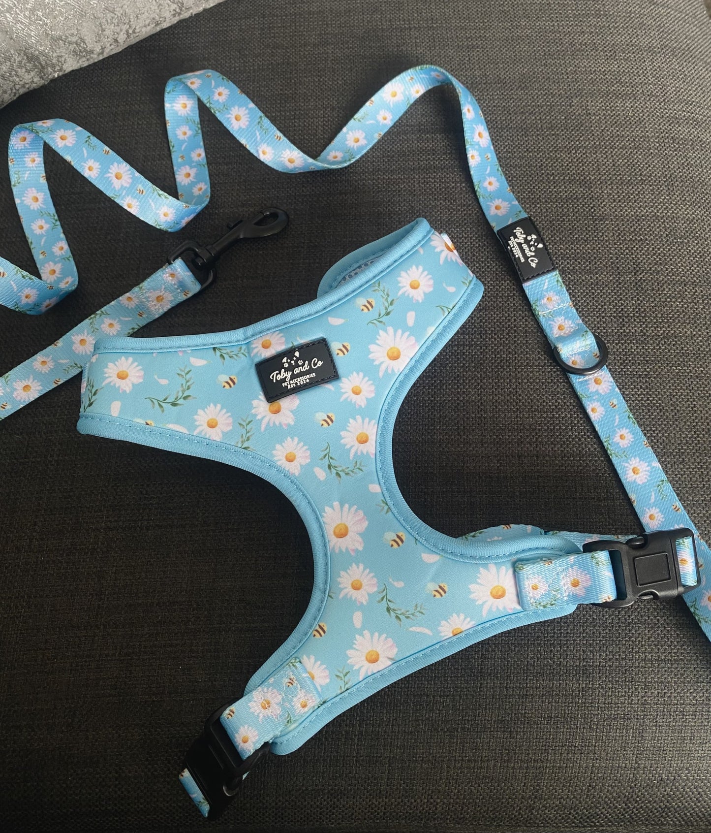 Daisy Field Harness
