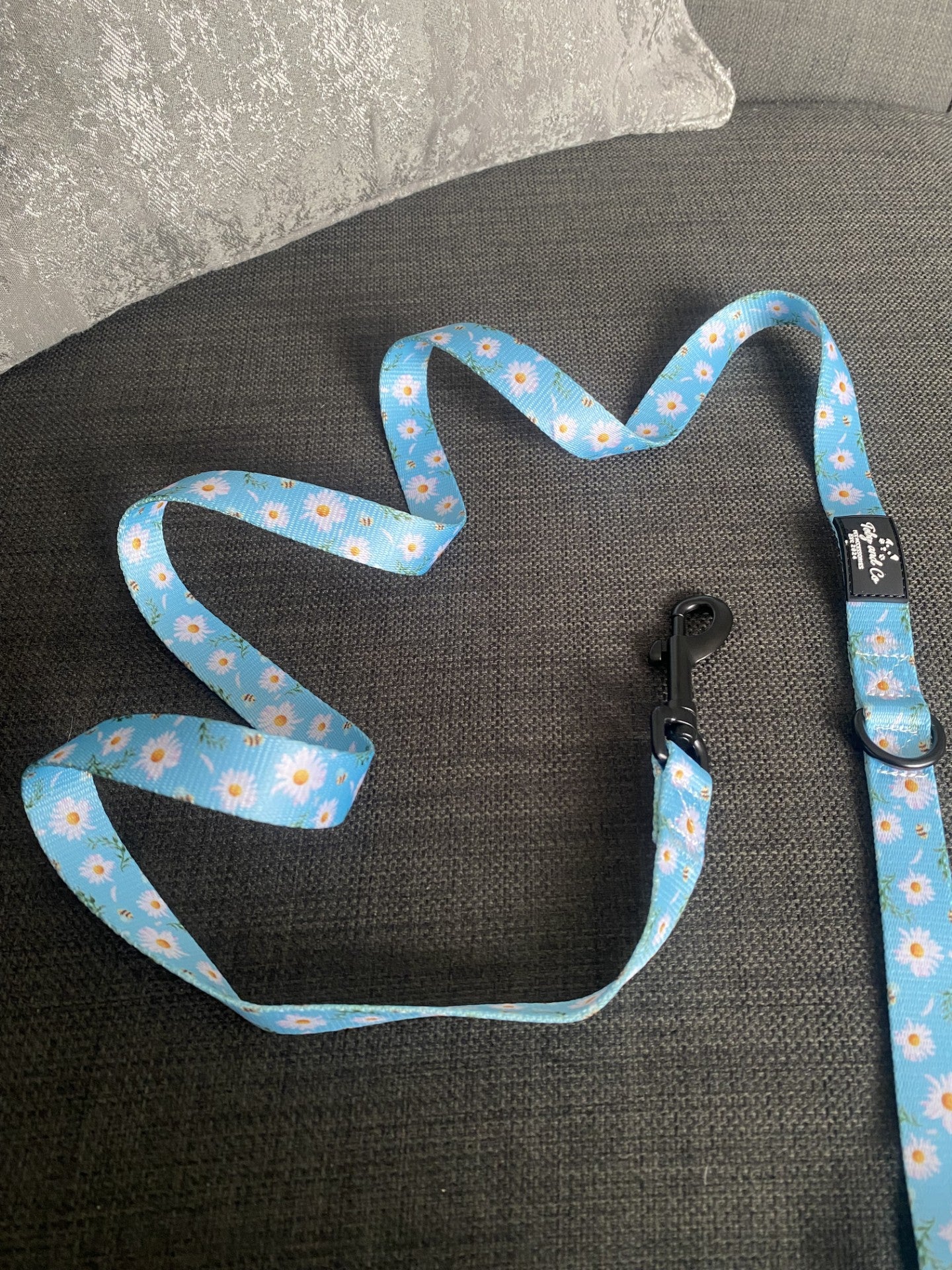 Daisy Field Leash